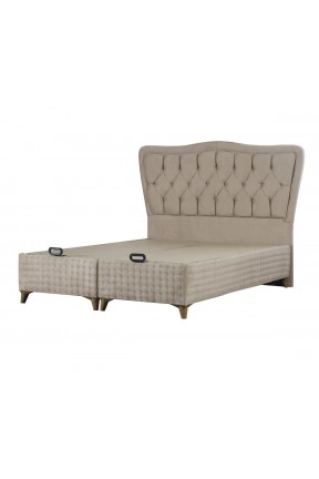 Golden Delux Başlıksız Baza