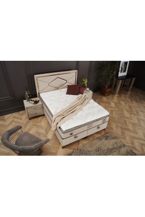 İmmune Defence Başlıksız Baza